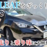 【ゆる動画】日産リーフで行く！ざっくり試乗編　初の電気自動車にいつも以上に興奮する男　Nissan Leaf POV Drive in Tokyo