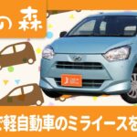 堺で軽自動車のミライースに試乗はおすすめの軽の森