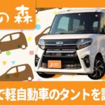 堺で軽自動車のタントに試乗はおすすめの軽の森