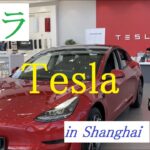 中国EV車シリーズ⑧ テスラのModel Yを試乗