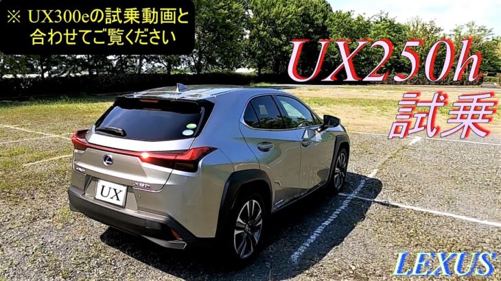 【 LEXUS 】UX250h 試乗😙　2021.7.10