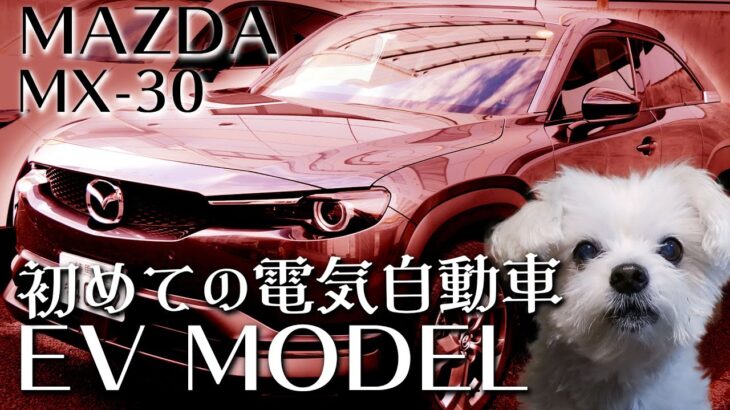 スポーティーなファミリーカー？ 国産EV、電気自動車に乗ってみた … Mazda MX-30 EV model