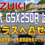 SUZUKI GSX250R　試乗③　西名阪自動車道～名阪国道 Ωカーブ！ 初心者にはお勧め出来ない針テラス突撃！ #39