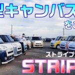 【新型キャンバス】ストライプス全色！今回は現車を使って解説しちゃいます♪