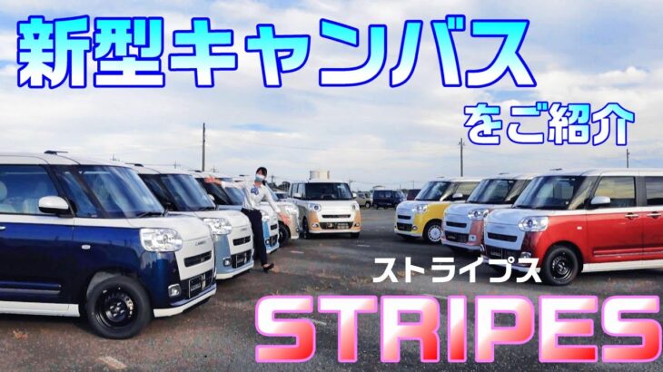 【新型キャンバス】ストライプス全色！今回は現車を使って解説しちゃいます♪