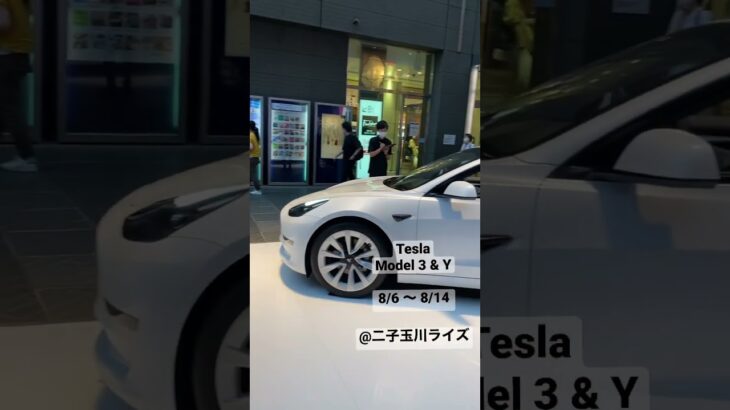 日本では発売するモデルYの実車が展示‼️試乗予約も行けば出来るらしいよ‼️ #shorts #short #tesla #modely #model3