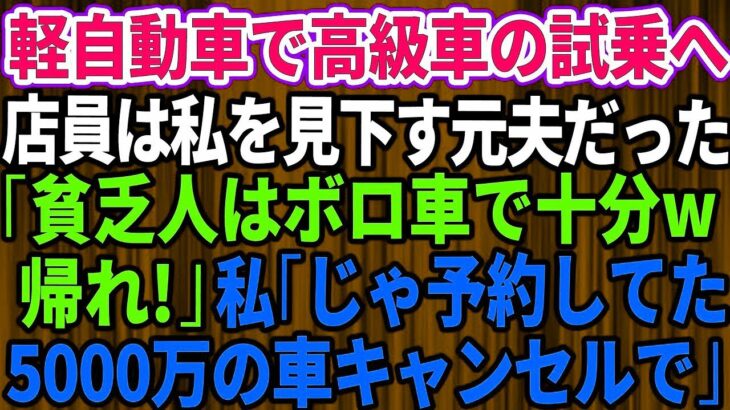 【スカッとする話】結婚記念日に軽自動車で高級外車の試乗へ行くと、店員は私を見下していた元夫だった。