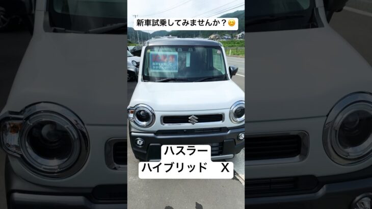 【試乗車情報#1】#松橋自動車 #試乗車 #ハスラー #スズキ #ハイブリッド