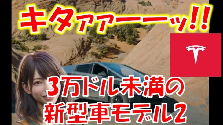 キタァァーーッ!!3万ドル未満の新型車モデル2