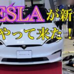NIIGATA EV CAR FAIR 新潟産業振興センター　電気自動車の試乗運転展示会❗️