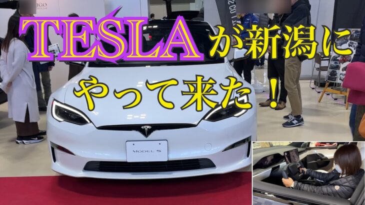 NIIGATA EV CAR FAIR 新潟産業振興センター　電気自動車の試乗運転展示会❗️