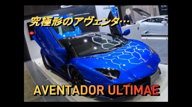 【輸入車試乗】Lamborghini Aventador Ultimaeを眺める(JAPAN INTERNATIONAL BOATSHOW 2024)
