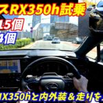 【NX350hと比較】新型レクサスRX350hバージョンL試乗！【リセール最高の高級SUV】