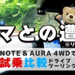 【ツーリング試乗比較】野生のクマ（本物）が とびだしてきたぞ！運転中も注意しましょう【NOTE & AURAツーリング試乗⑤】