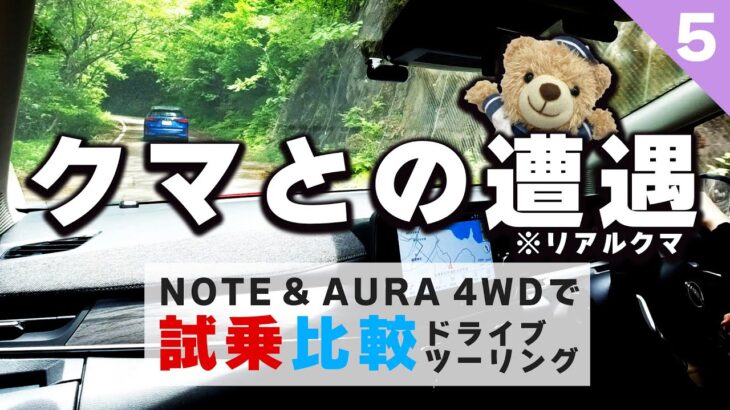 【ツーリング試乗比較】野生のクマ（本物）が とびだしてきたぞ！運転中も注意しましょう【NOTE & AURAツーリング試乗⑤】