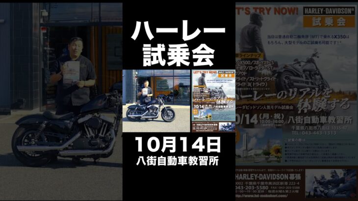 ハーレー試乗会10月14日八街自動車教習所 #harleydavidson