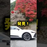 【新型クラウンクロスオーバー】劇レア！奇跡の桜！絶景10選～四季桜 1/10～納車後レビュー！#shorts #レビュー 内装・外装・デザイン 2024 TOYOTA NEW CROWN