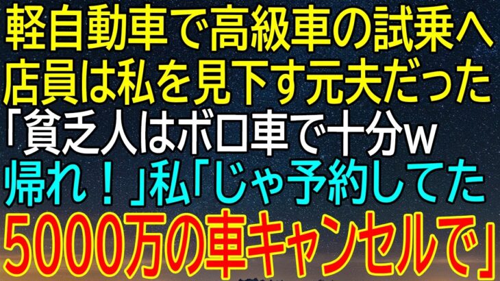 【感動★総集編】軽自動車で高級車試乗！元夫の侮辱に対抗して、予約した5000万の車をキャンセルした私の逆襲！【感動する話】