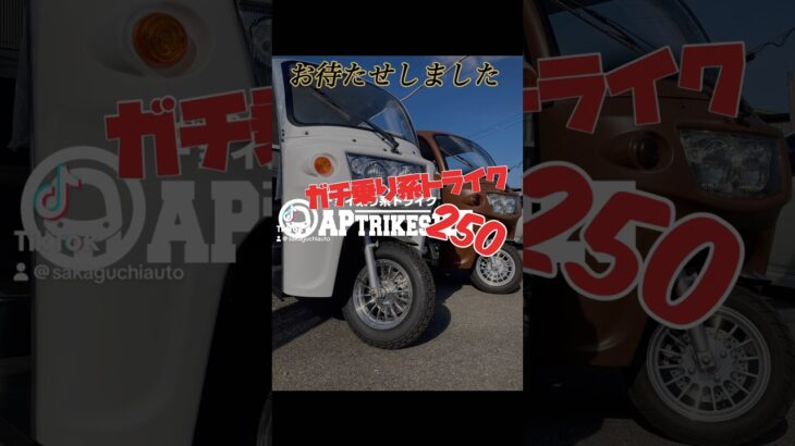 遂にAPTRIKES250予約受付開始！ご試乗予約お待ちしております！予約・試乗受付は2/10〜#APTRIKES #トゥクトゥク #3輪バイク #3人乗り #トライク #坂口オート #スマイルロード