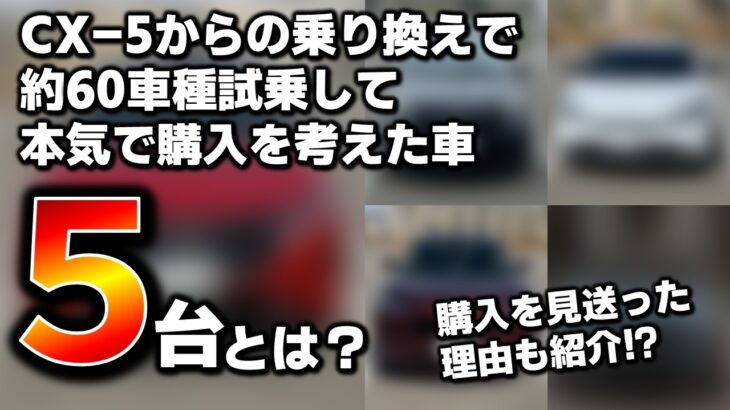 【おすすめ5選】約60車種試乗して、本気で購入を考えた車5台とは？購入を見送った理由も紹介します。